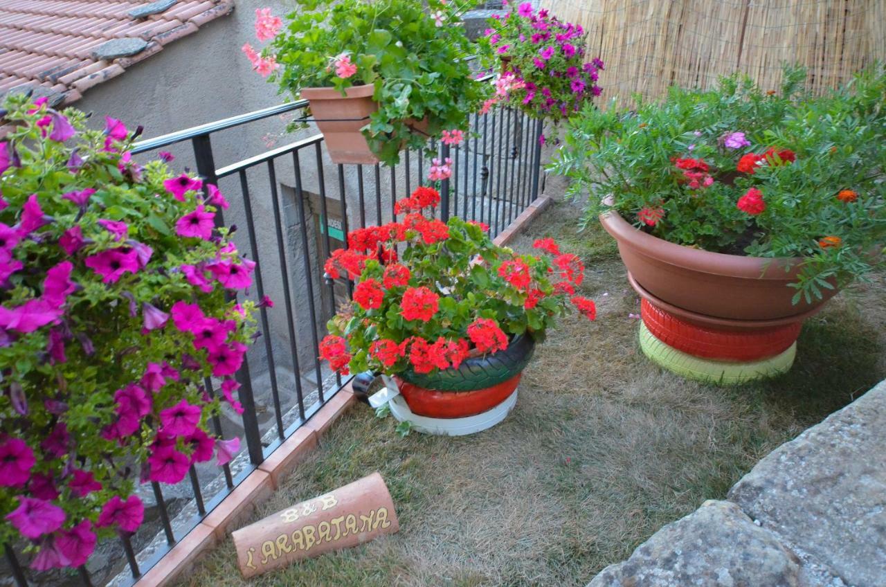 B&B L'Arabatana Pietrapertosa Zewnętrze zdjęcie
